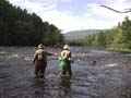 Flyfishing the East Branch